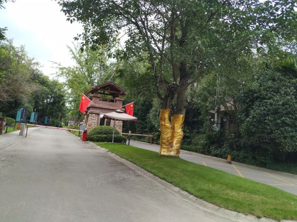 棠湖泊林城实景图