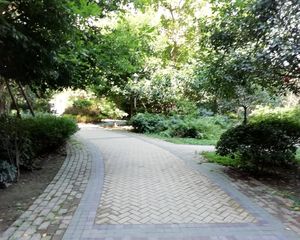明新国际新城2室1厅西南