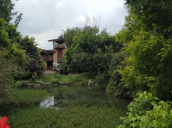 棠湖泊林城实景图