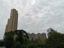 复地雍湖湾3室2厅西南