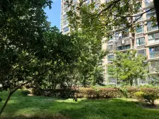 张江南 户型全明 双卫 临河 诚意出售 景观好