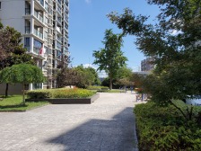 三轨交 双傅雷 电梯高层 视野好 圣鑫苑 中装 随时可以看