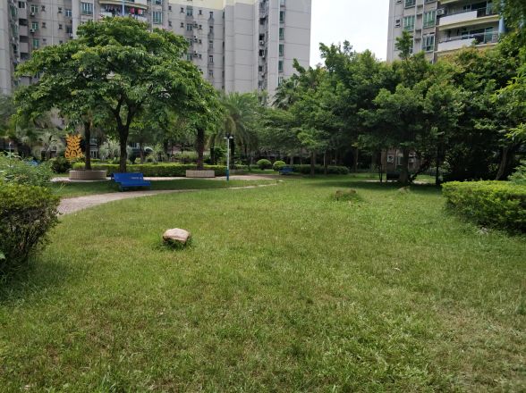 富丽家园富宜居实景图
