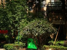 保利心语花园四期 1室0厅 东南