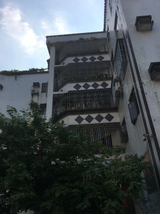 富门花园实景图
