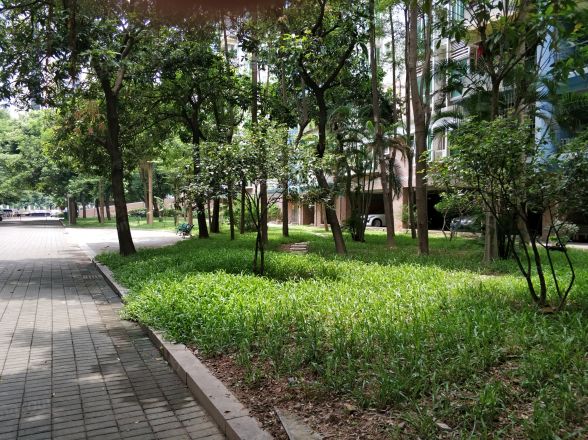富丽家园富宜居实景图