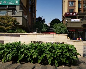 建发泱墅5室2厅南北