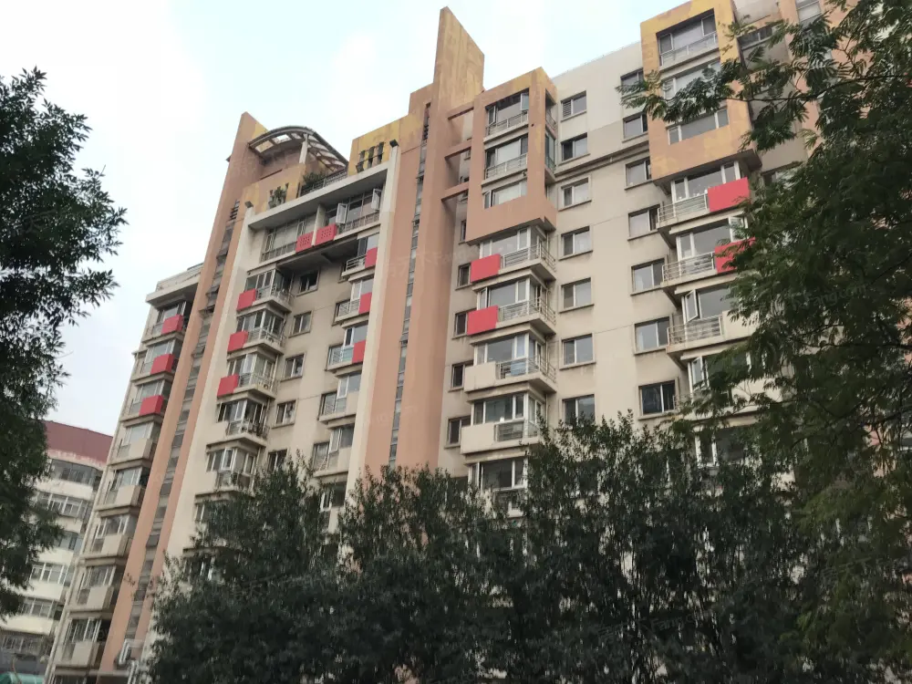 实景图