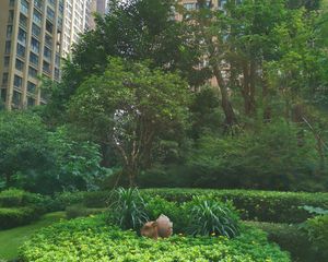 保利心语花园四期 4室1厅 南