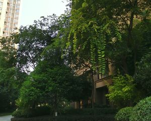 保利百合花园3室1厅东南