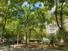 圣鑫苑1室南朝向240.00万元/套出售