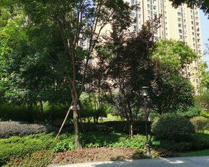 保利百合花园4室2厅南