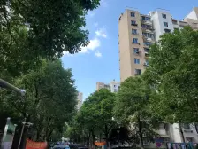 张江南 地铁11/16号线 精装 看房随时置换急售