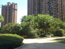 联泰香域中央 南北通透,采光好 装修好,环镜优美 近地铁 中间楼层