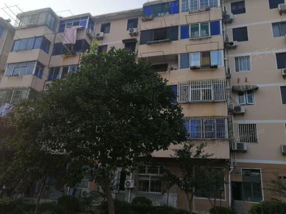 贝港四区实景图