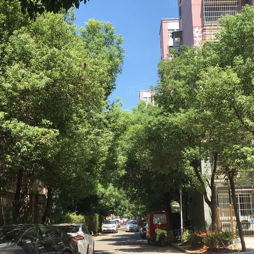  ��˼�԰1��1���ϳ���500.00Ԫ/�³��� 