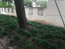 贝港南区(七区) 1室1厅 南 南