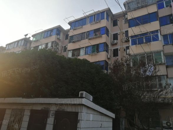 贝港四区实景图