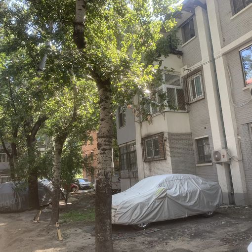  �����һ��1��1��1���ϳ���9600.00Ԫ/�³��� 