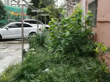 内环内,南北两房,税费少,业主诚心出售