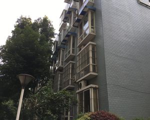 楠苑(天府新区) 2室2厅 南