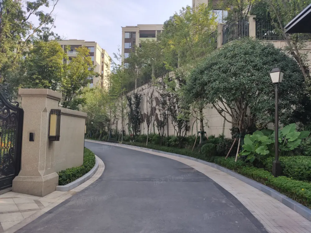 实景图
