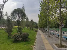 照母山公园旁新上端户大花园精装带电梯别墅安静诚心卖