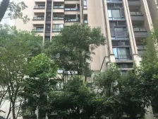 大坪之巅 正规两房 精装修 诚心出售 交通便利