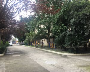致祥路66号3室1厅东南