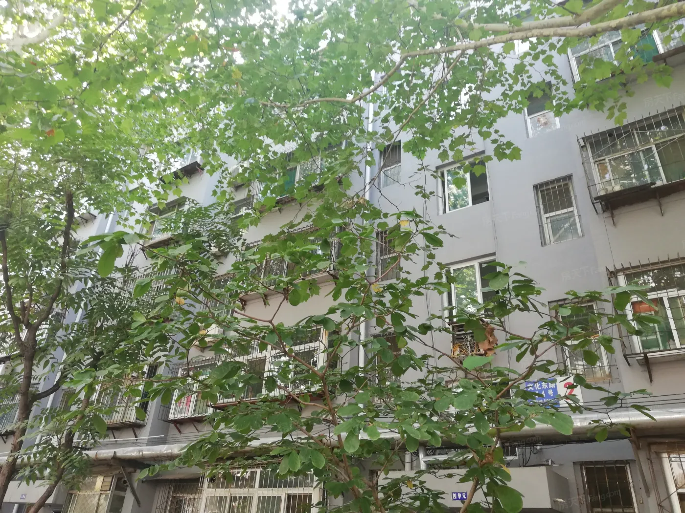 济南灯泡厂宿舍