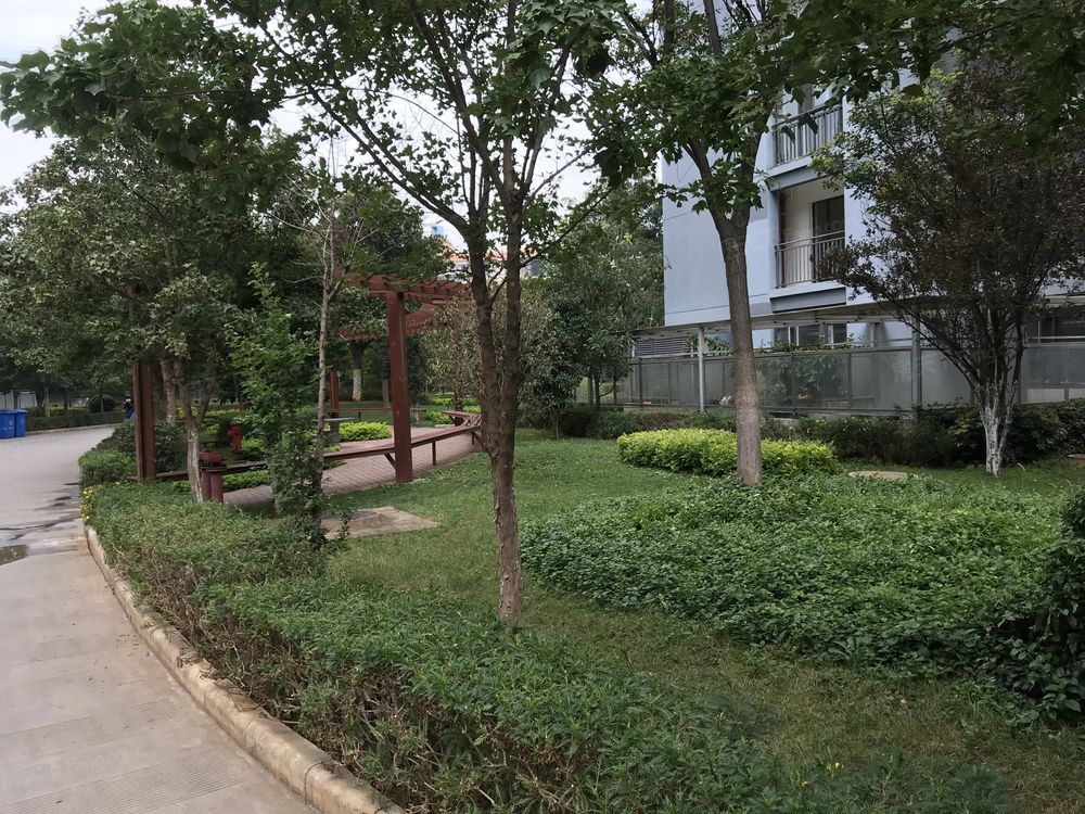 小区相关图