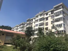 乐天小区 简装修楼层 好采光好 出入便利 购物便捷