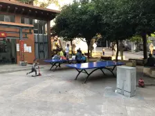 富翔花园 3室2厅 东南