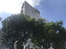 内环内 近交通包包房交通方便 高区景观,有钥匙可以随时看房