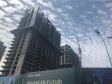 阳光交易 不收卖方返费 不吃买方差价