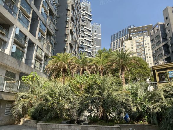 华韵城市海岸商住楼实景图