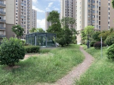 丽水雅苑北苑 2室1厅 南