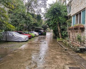 浣花居 4室2厅 东南