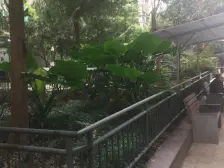 望龙门 二府衙三房203万