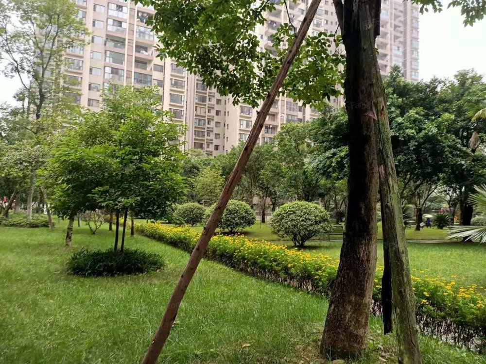 小区相关图
