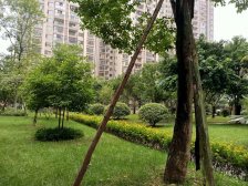 军安卫士花园 2室1厅 西