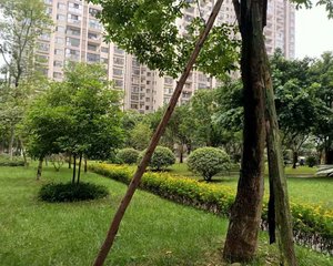 军安卫士花园3室2厅南