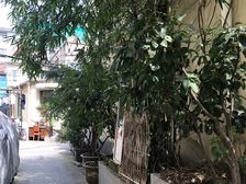 主卧朝南,繁华地段,精装好房,采光充足