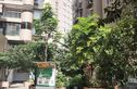 公园2008实景图