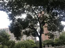 内环内 近交通包包房交通方便 高区景观,有钥匙可以随时看房