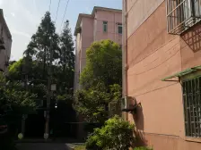 古美罗阳·东兰路37弄·2室·1厅