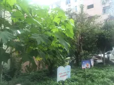 五角场·国定路555弄·3室·0厅