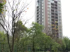 虎溪花园大平层安静楼层好采光好近 看上面谈