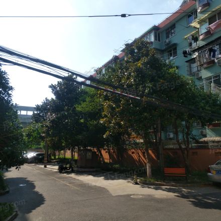 虹梅南苑实景图