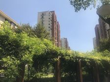 好楼层 无遮挡 采光好 看房方便